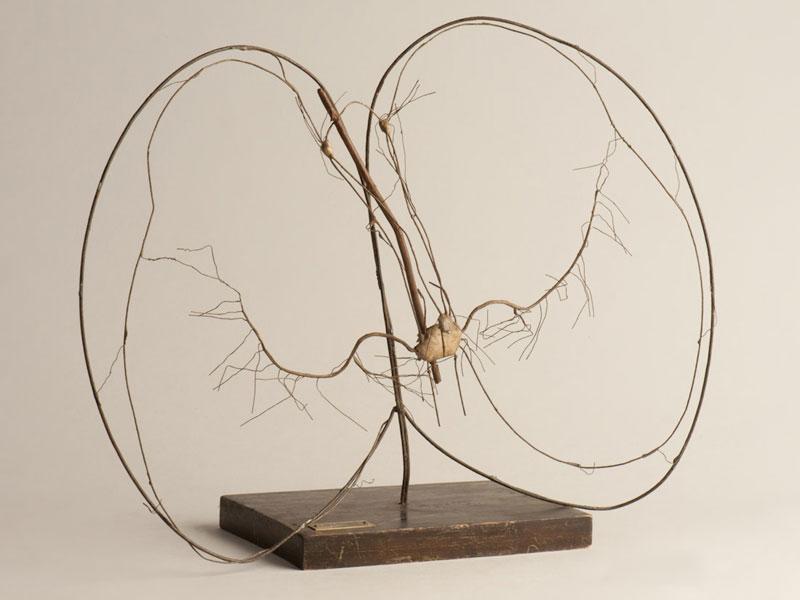 Maqueta de pulmón Maqueta de pulmón