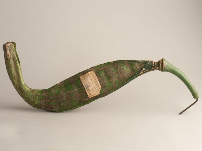 Modelo de vegetal Modelo de vegetal