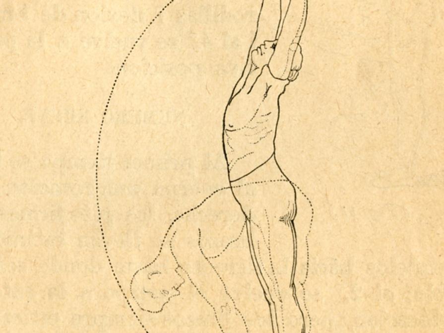 Libro de gimnasia