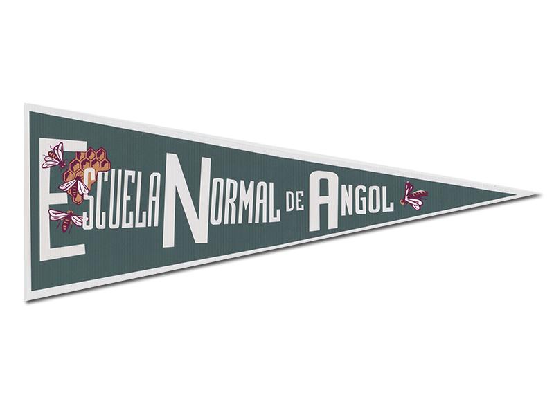 Banderín de la Escuela Normal de Angol