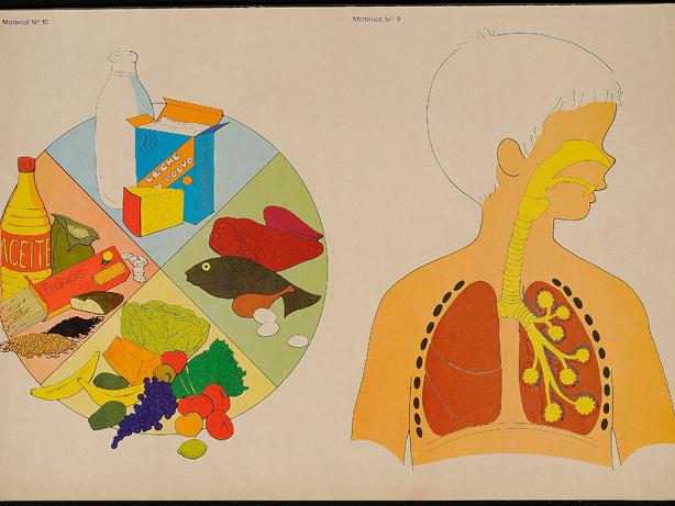 Lámina Alimentos y respiración