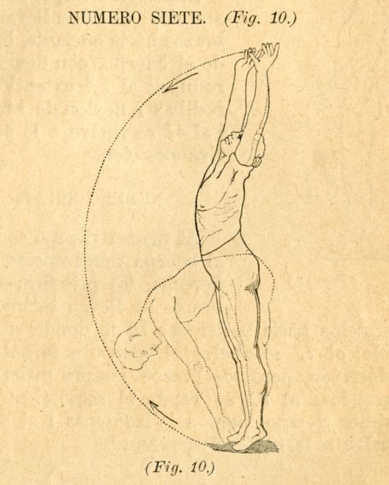 Libro de gimnasia