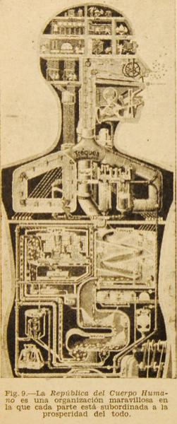 Figura 9: La República del cuerpo Humano Figura 9: La República del cuerpo Humano