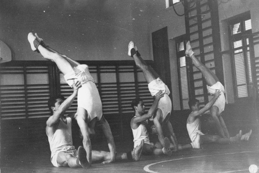 Instituto de Educación Física