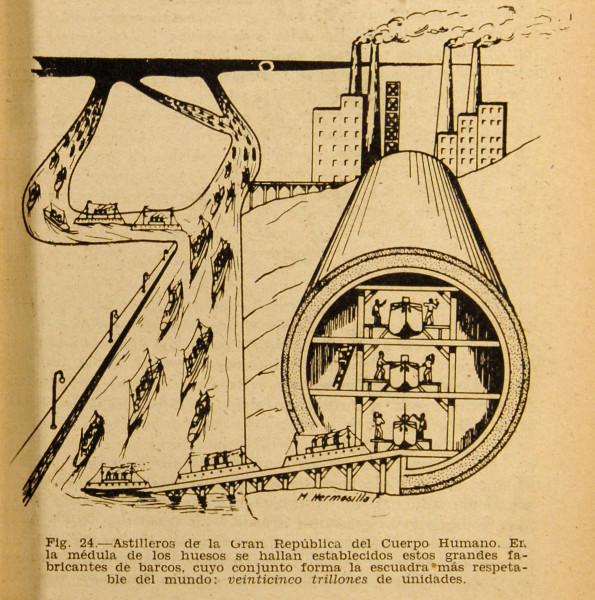 Figura 24: Astillero de la Gran República del Cuerpo Humano Figura 24: Astillero de la Gran República del Cuerpo Humano